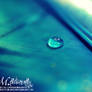 WaterDrop.