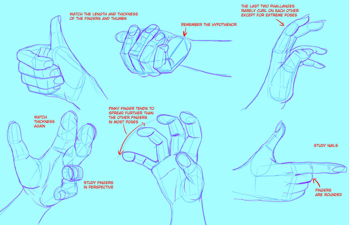 Hand Practce Hands practice/study round 2 19/02/2024 by FireDrake418 on DeviantArt