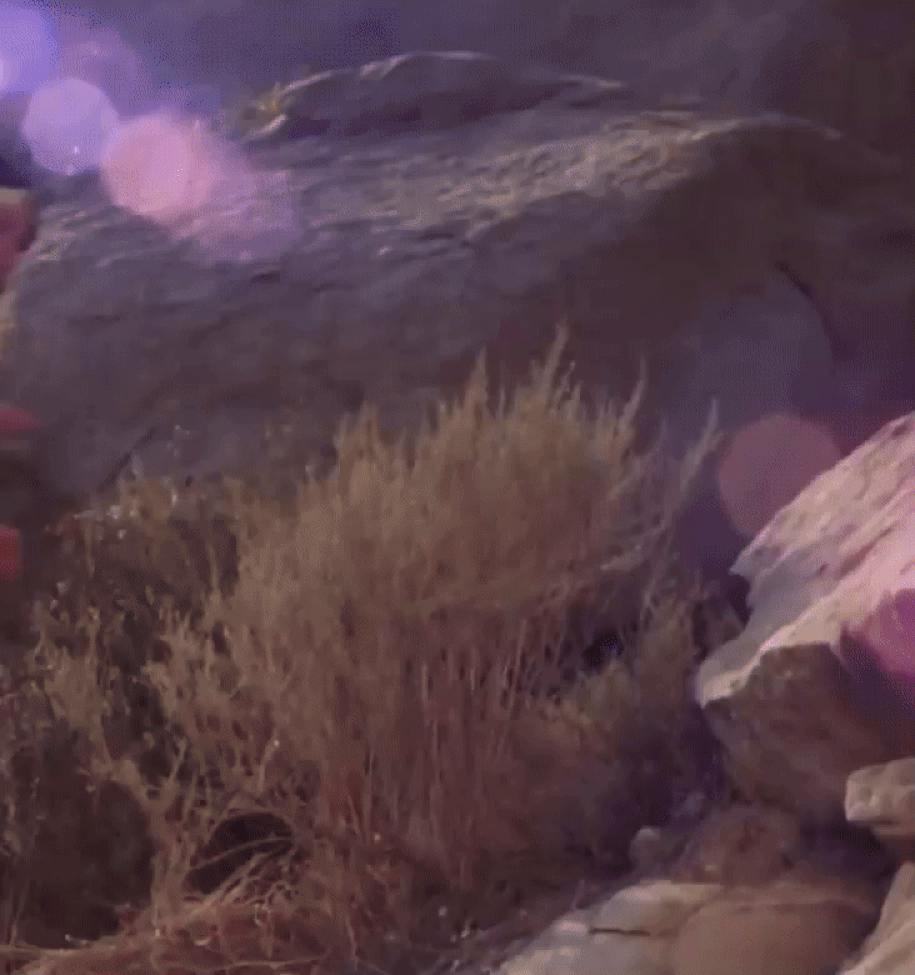 Wonder Woman on the rocks