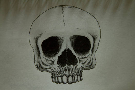 Skull