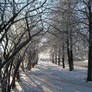 Frozen alley