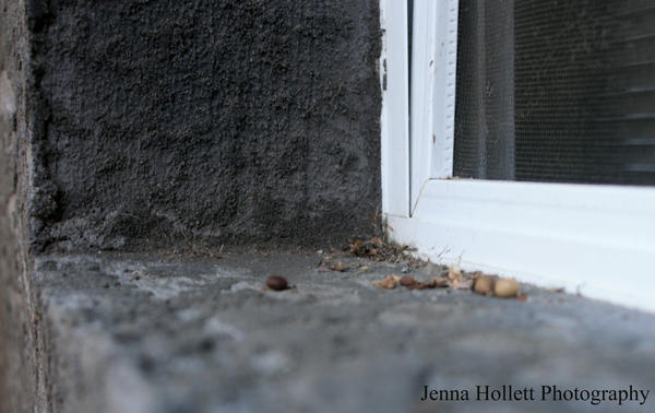 window mess by JHollettphotog on DeviantArt