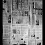 Newspaper