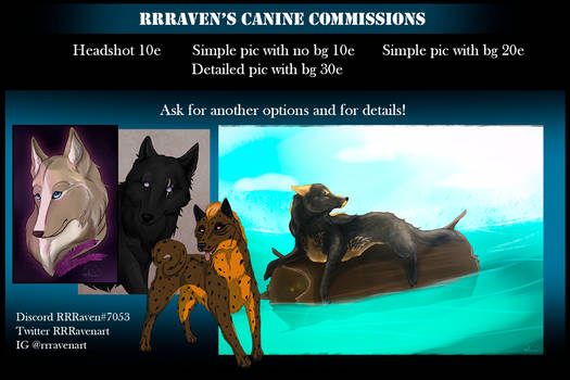 Canine commissions