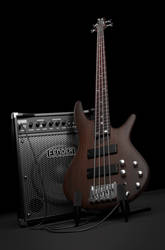 3D Ibanez SR500 + Fender Rumble 30