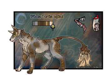 Domestic- Diluted Tortie Lykoi Raffle [Closed]