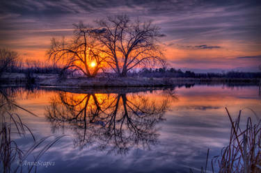 Reflections of a Colorado Sunset