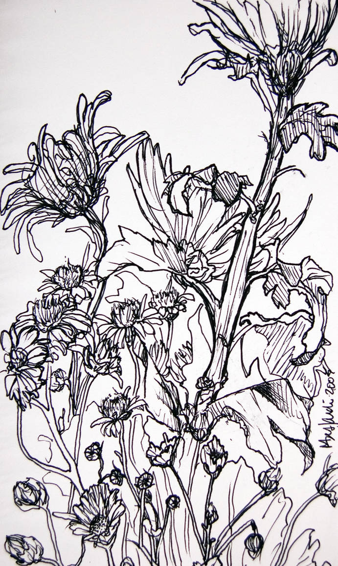 flowers 071205 by pommefritz