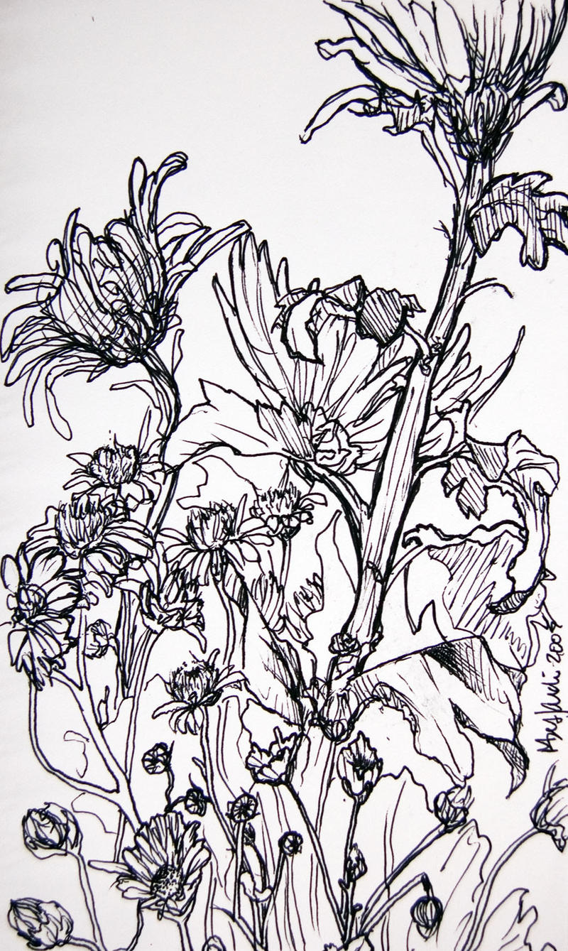 flowers 071205 by pommefritz