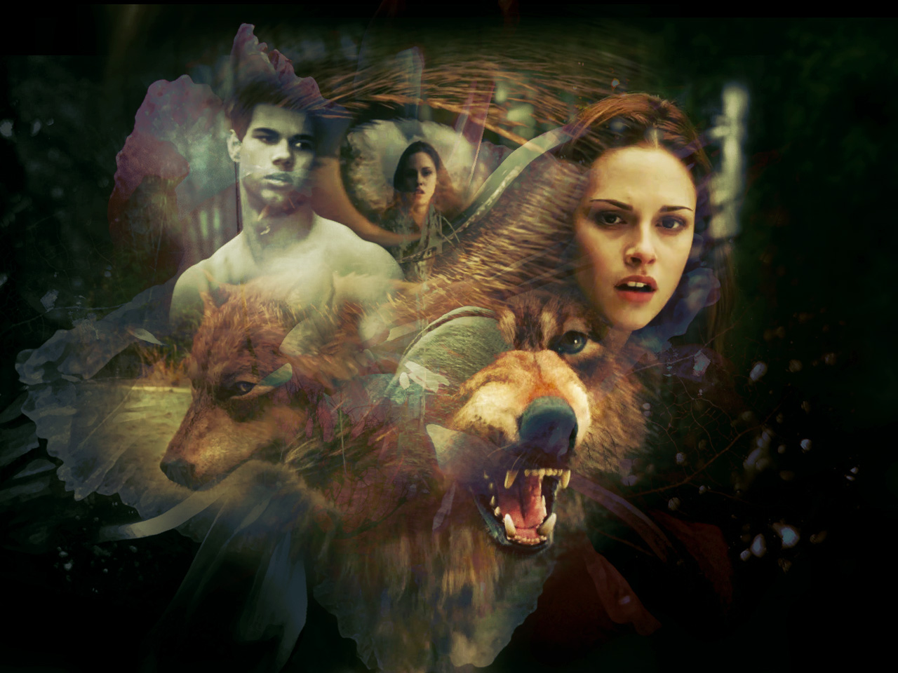 Jacob Black Bella Swan