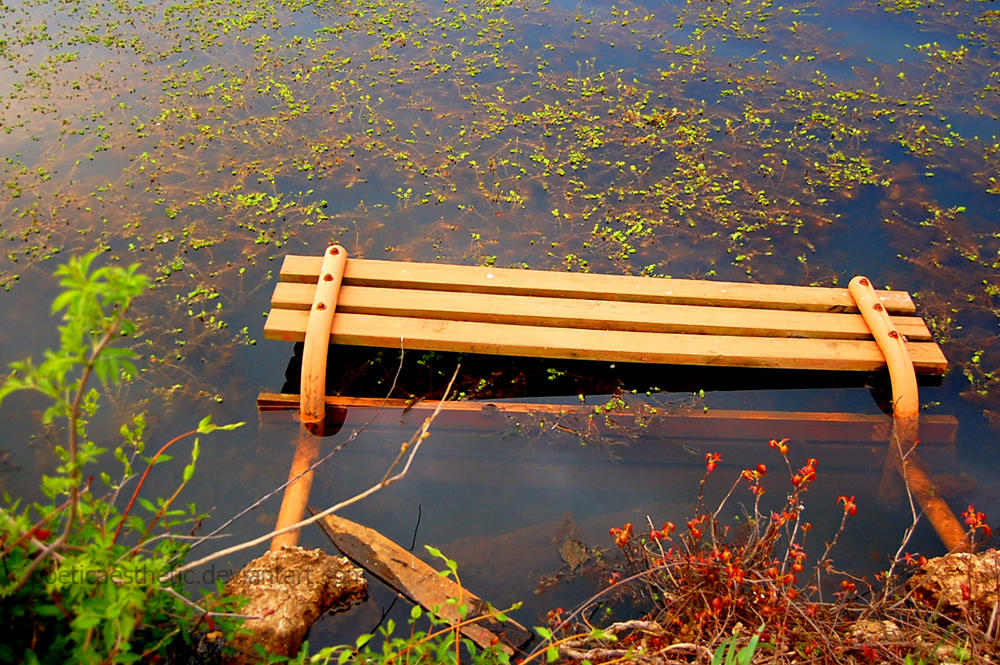 dead bench by poeticaesthetic on DeviantArt