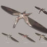 The Structure of a Pterosaur
