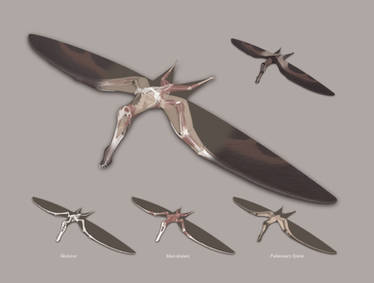 The Structure of a Pterosaur