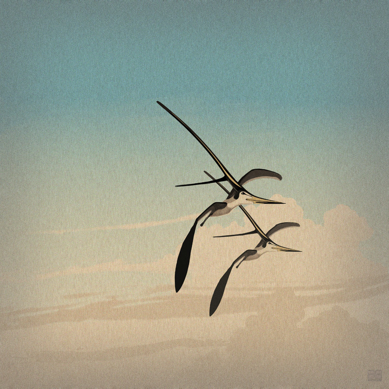 Nyctosaurus sp by jconway