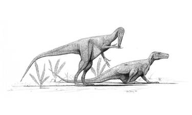 Herrerasaurus ischigualas...