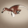 Dead Velociraptor mongoliensis