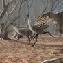 Tarbosaurus and Gallimimus