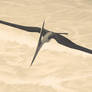 Pteranodon longiceps