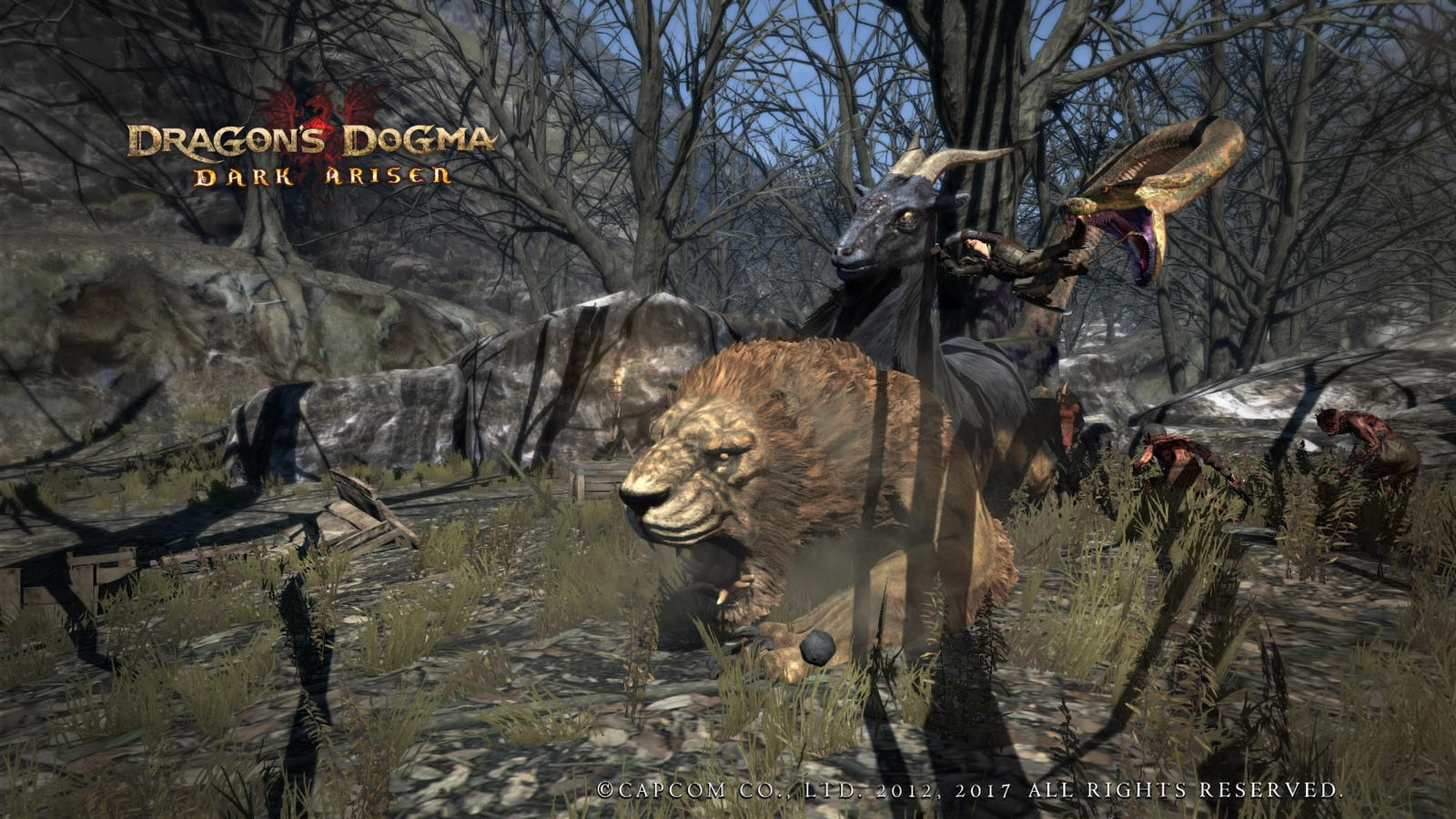 Dragon's Dogma: Chimera Battle by roundularman on DeviantArt