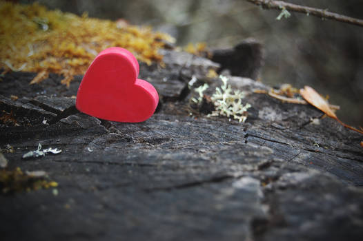 Stumped Heart