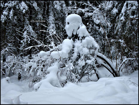 Snow soldier