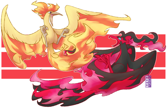 0146 Moltres