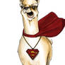 IM A SUPER LLAMA- THX EVERY1.