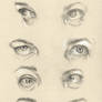 Expressive Eye Studies