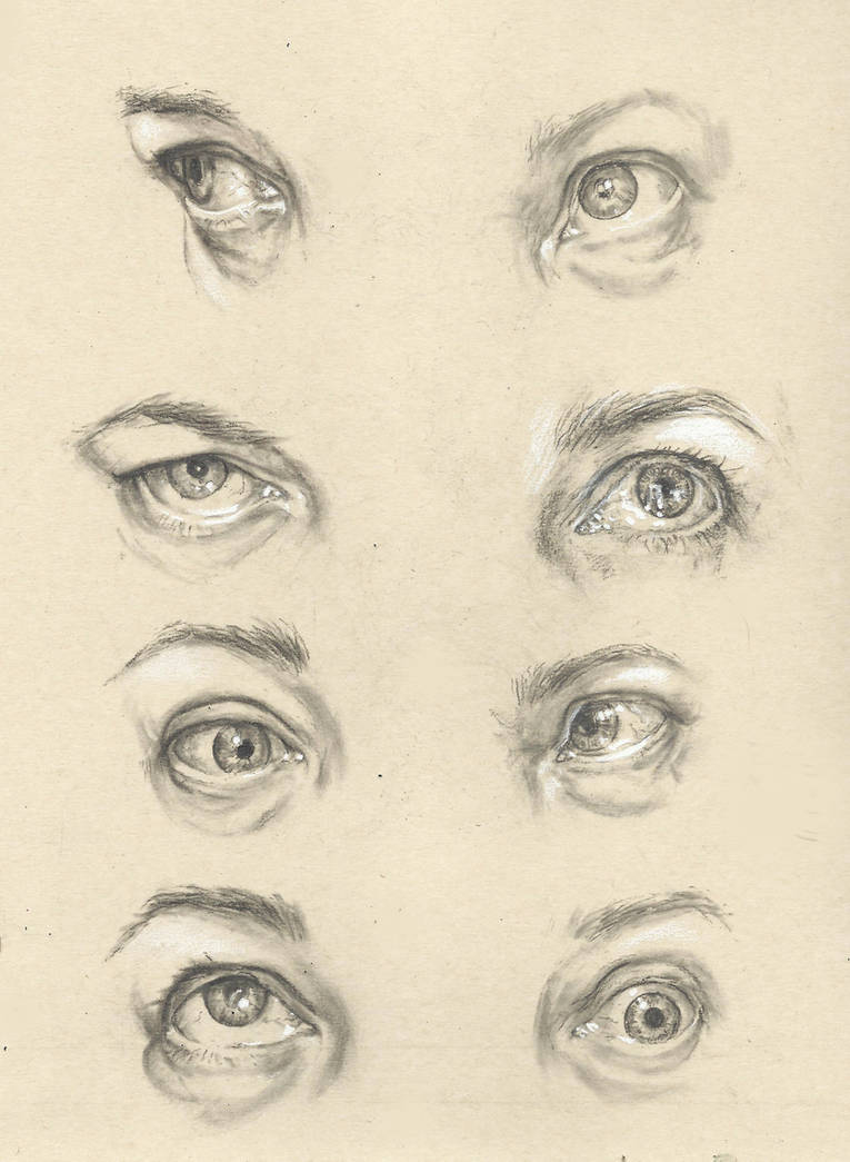 Expressive Eye Studies by CamletteHampton on DeviantArt