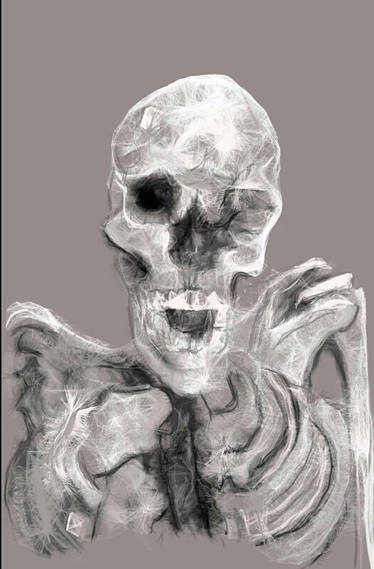 Skeleton Study