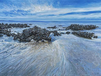 Oysters at Low Tide on Tybee Island