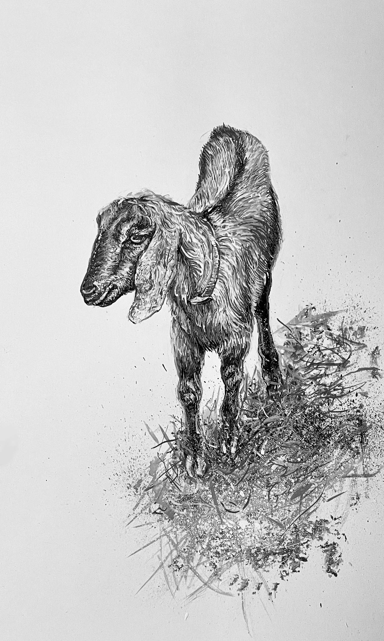 Goat Te The Goat by CamletteHampton on DeviantArt