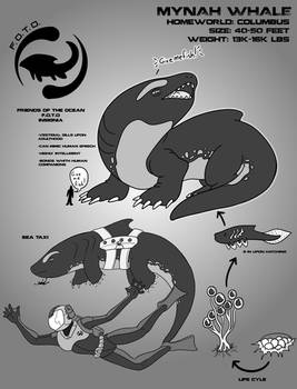 WSS Wildlife #11: Mynah Whale