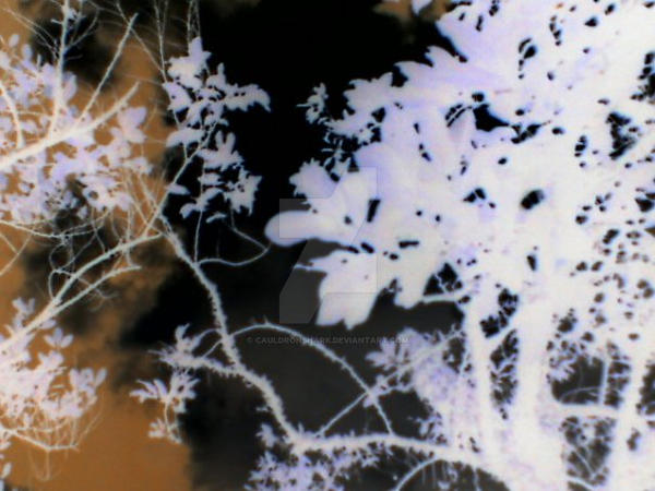 Negative Effect by Cauldronshark on DeviantArt