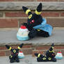 Umbreon