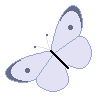 Butterfly by Lady-Pixel