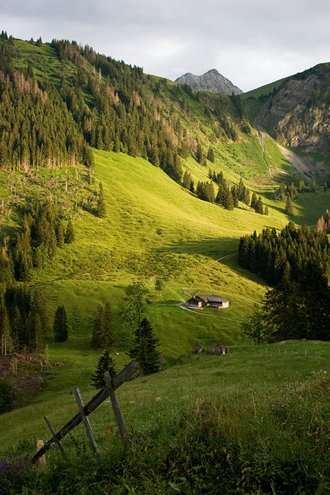 Paysage suisse - 03