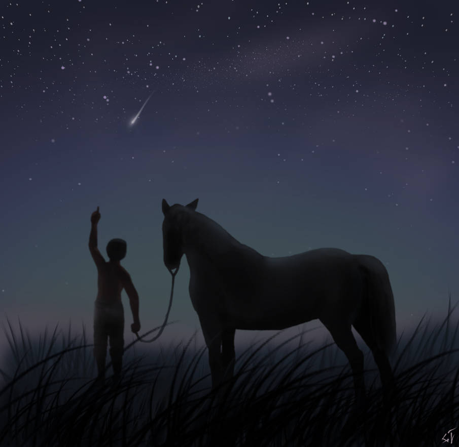 Небо на кону. Лошадь ночью. Лошади в ночном. В ночное на лошадях.