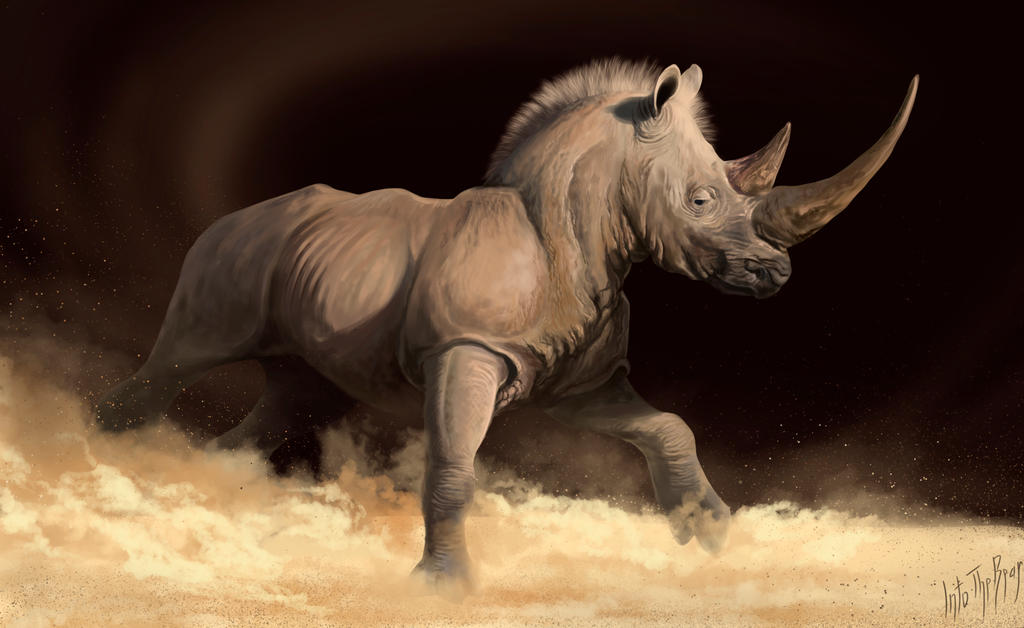 Racing rhinoceros by IntoTheBear on DeviantArt