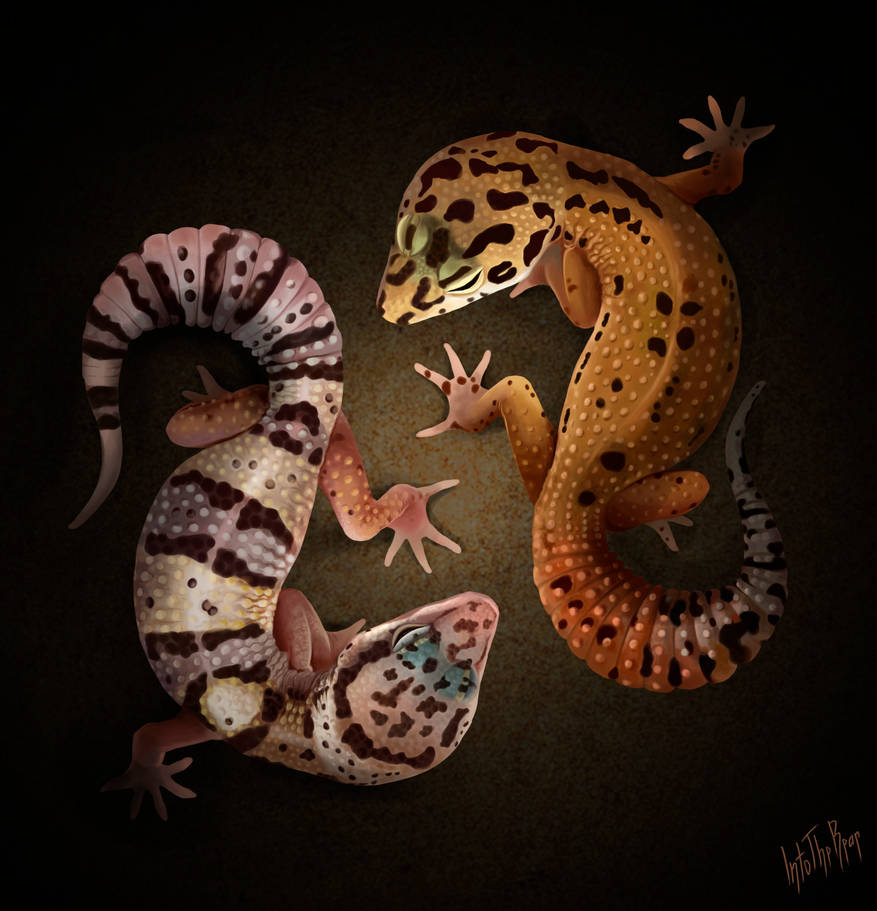 Gecko Deviantart Geckos by IntoTheBear on DeviantArt