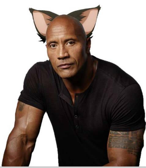 Cat John Rockson Dwayne the cat johnson by penguinflu on DeviantArt