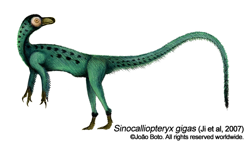 Sinocalliopteryx gigas by Sputatrix