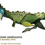 Homalocephale calathoceros