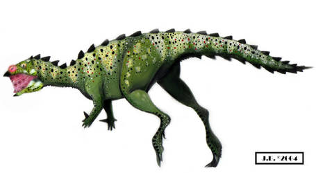 Draconyx loureiroi Male