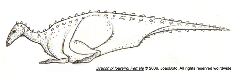 Draconyx loureiroi Female