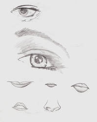 Practice on Eyes and Noses