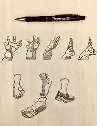 Hand and Foot Studies