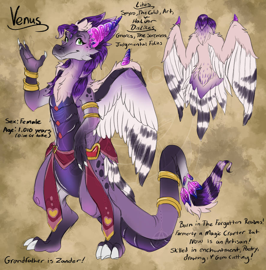 Venus Concept Sketch Ref