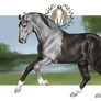 Cerberus Askeboda