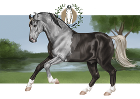 Cerberus Askeboda